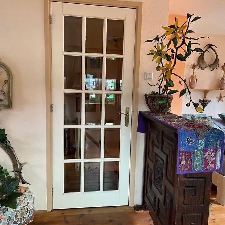 La Cabana Zandvoort Bagian luar foto